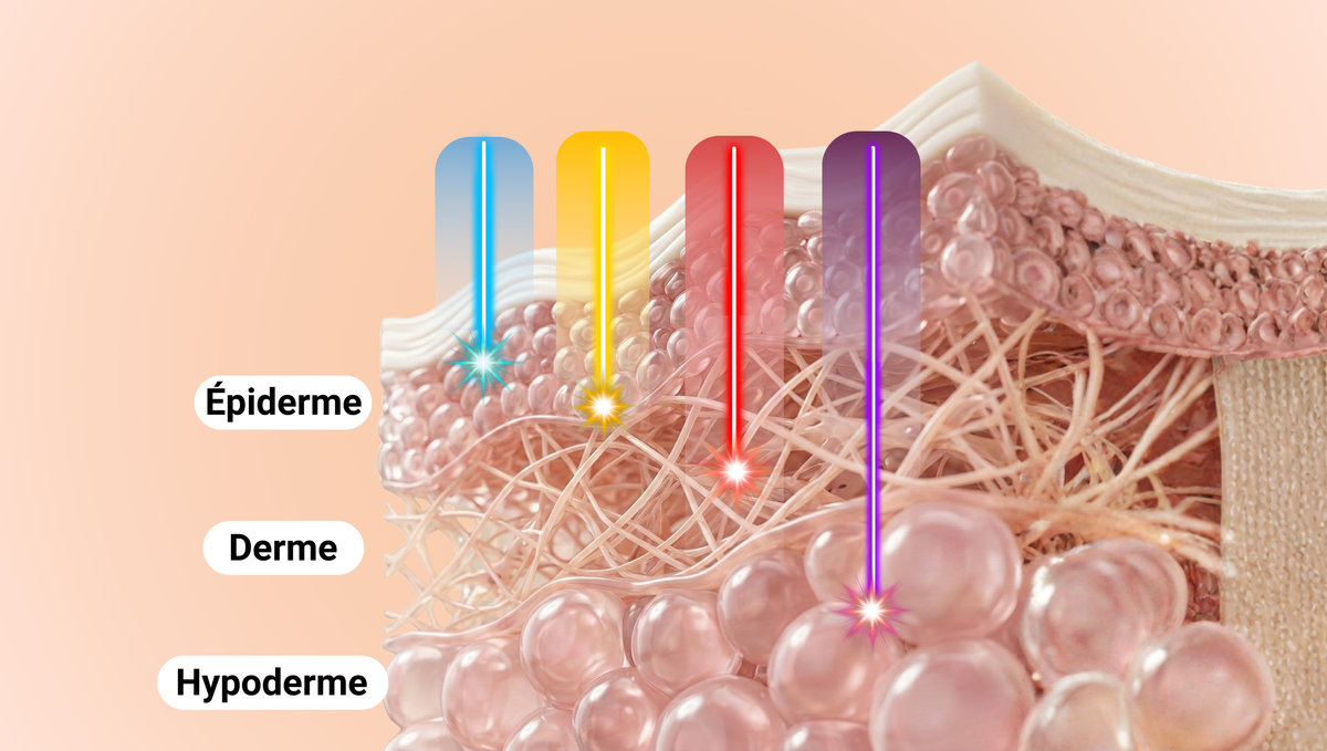 Pourquoi ces couleurs font la